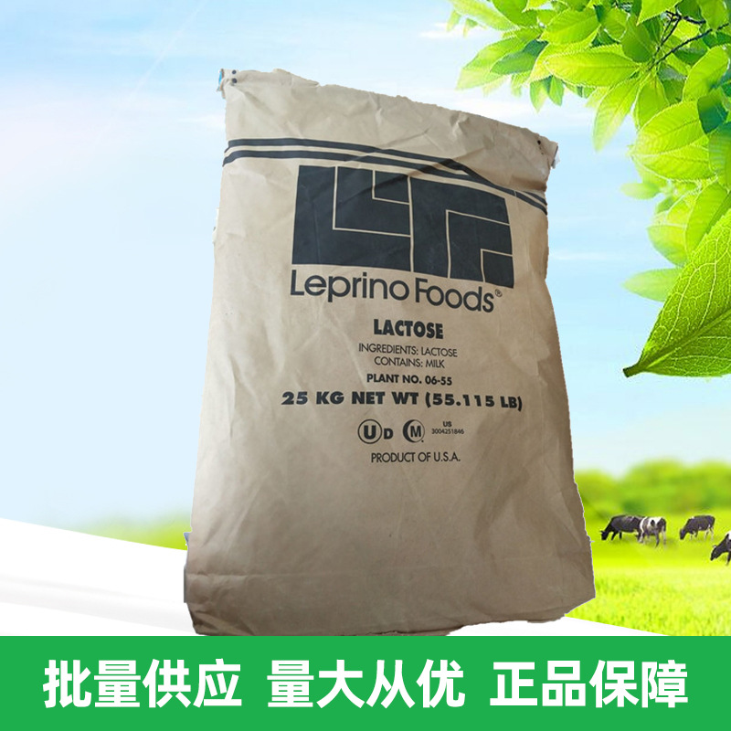 地球/Leprino 乳糖 100目 食品级 长期供应 99% 量大从优