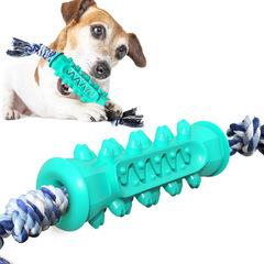 Amazon Dog Toys Chewable Toothbrush Bone Tooth Cleaning Rope Dog Toy 1 Pet Supplies