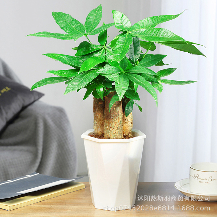 QQͼƬ20200803165900