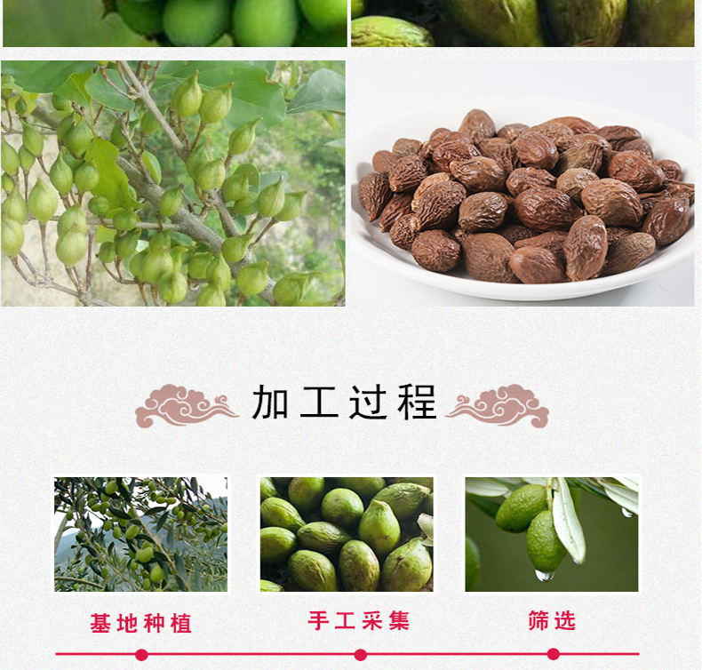 Fat Sea Seed Pang Da Hai Dried Herbal Tea Bulk 500g New Crop Guangxi specifications