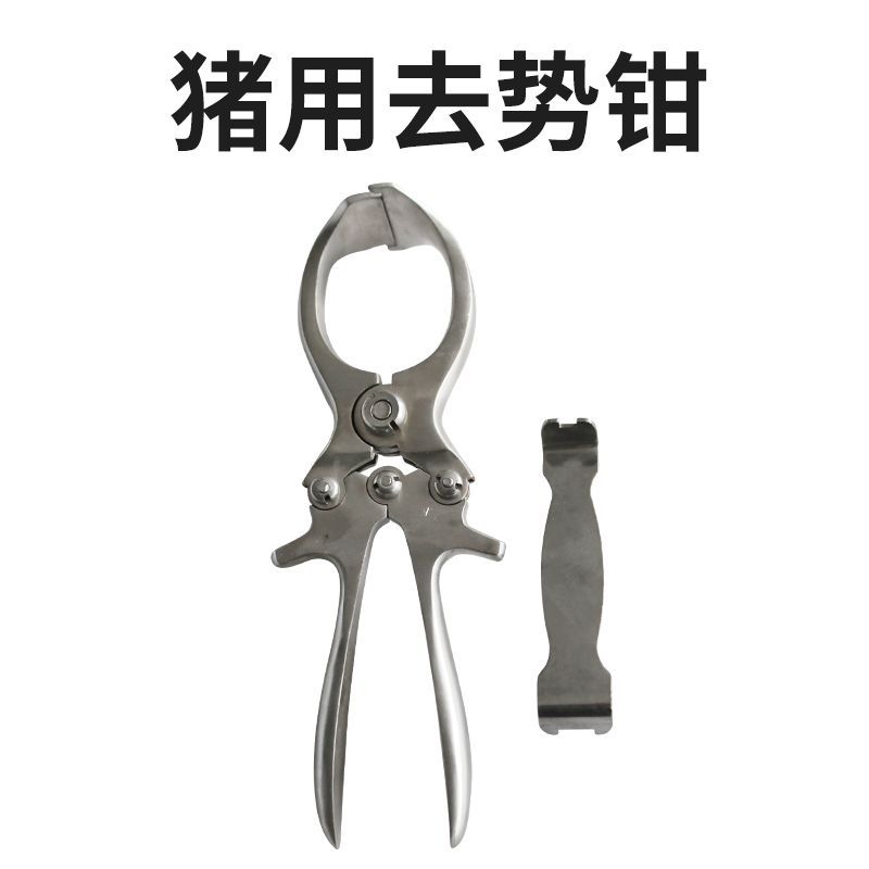 Alicates de castracion de cerdo