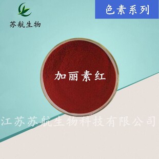 ���� �������S/�t 10% �B�u���~�r��ʳƷ���������S