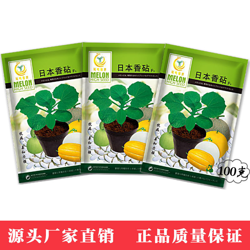 凤鸣雅世  甜瓜砧木种籽西瓜嫁接砧木种子 日本香砧种子100克/袋|ms
