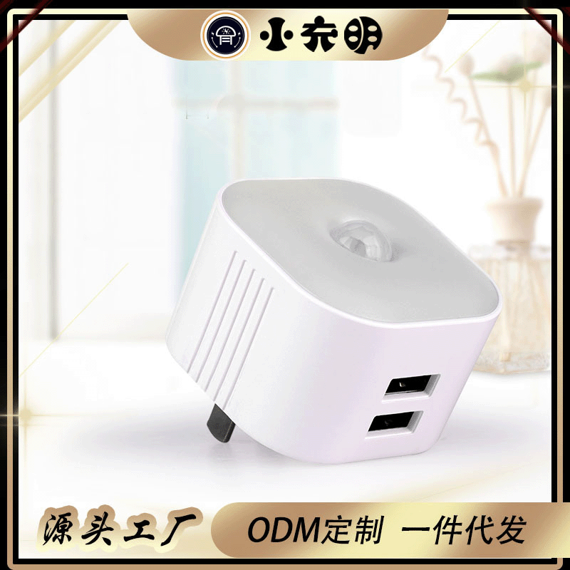 跨境新款LED感应灯人体感应灯橱柜灯走廊感应小夜灯usb充电器|ru