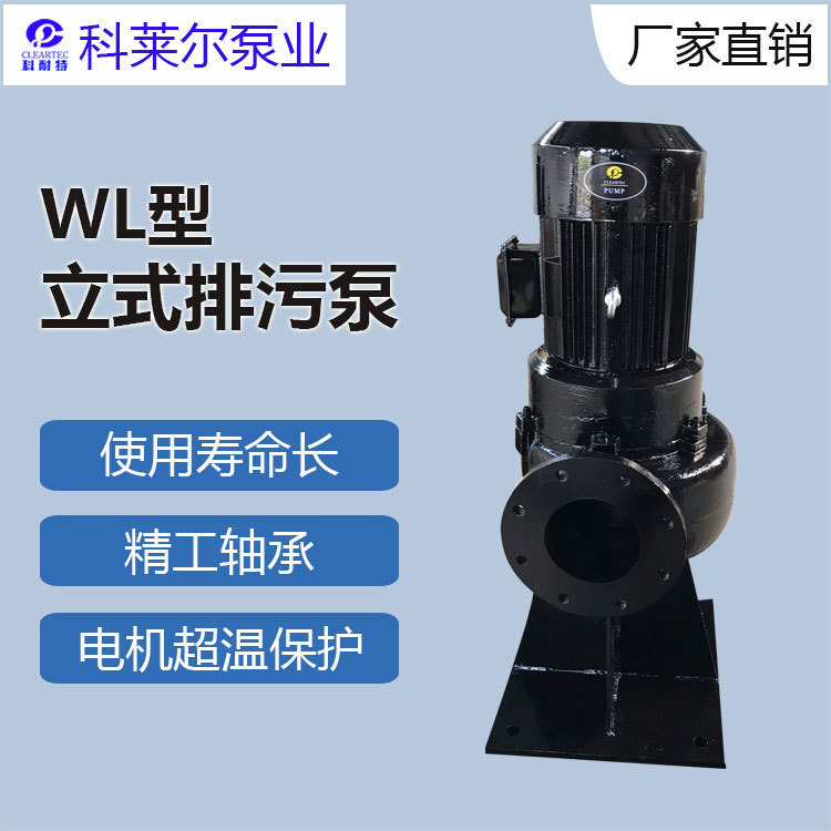 WL立式回流泵 干式污水泵 立式污水泵2.2KW