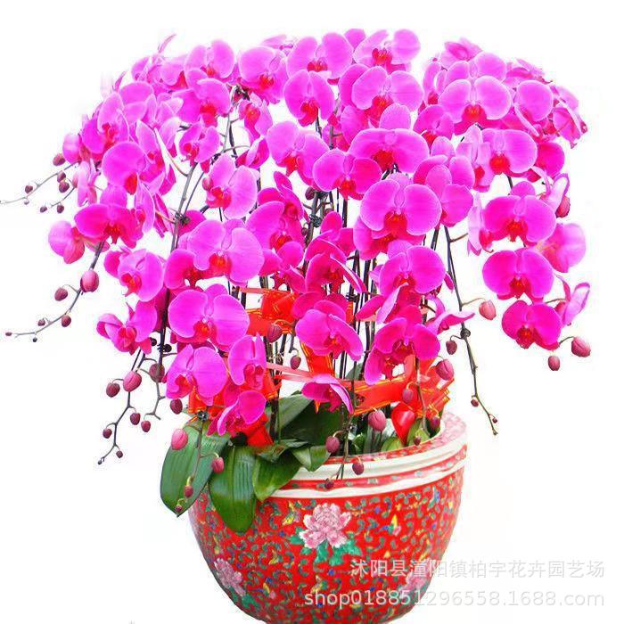 ΢��ͼƬ_20200121210718