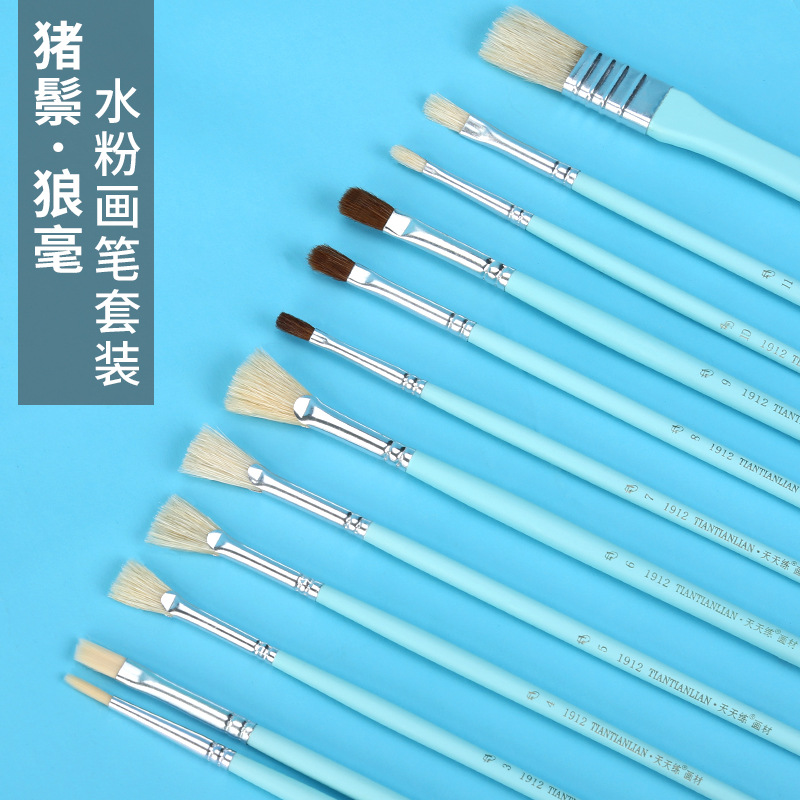 天天练猪鬃画笔套装 12支装猪鬃狼毫扇形平峰舌型圆头画笔刷套装|ru
