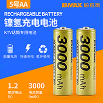 No. 5 nickel -hydride battery gold 1.JPG