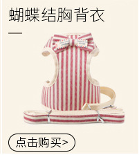 哈沃狗绳牵引绳