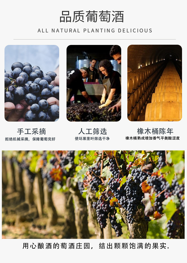 葡萄美酒典范详情页_04