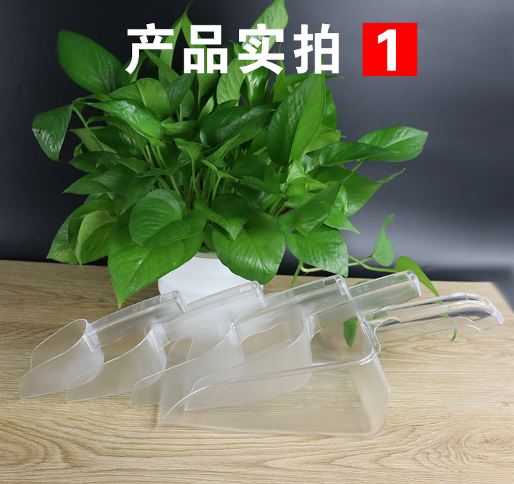 详情4