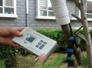 ZXJ供茎测定仪 型号:ECA-YM04库号：M389816