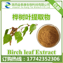 ~ȡ10:1 ~Sͪ Birch Leaf Extract ט~