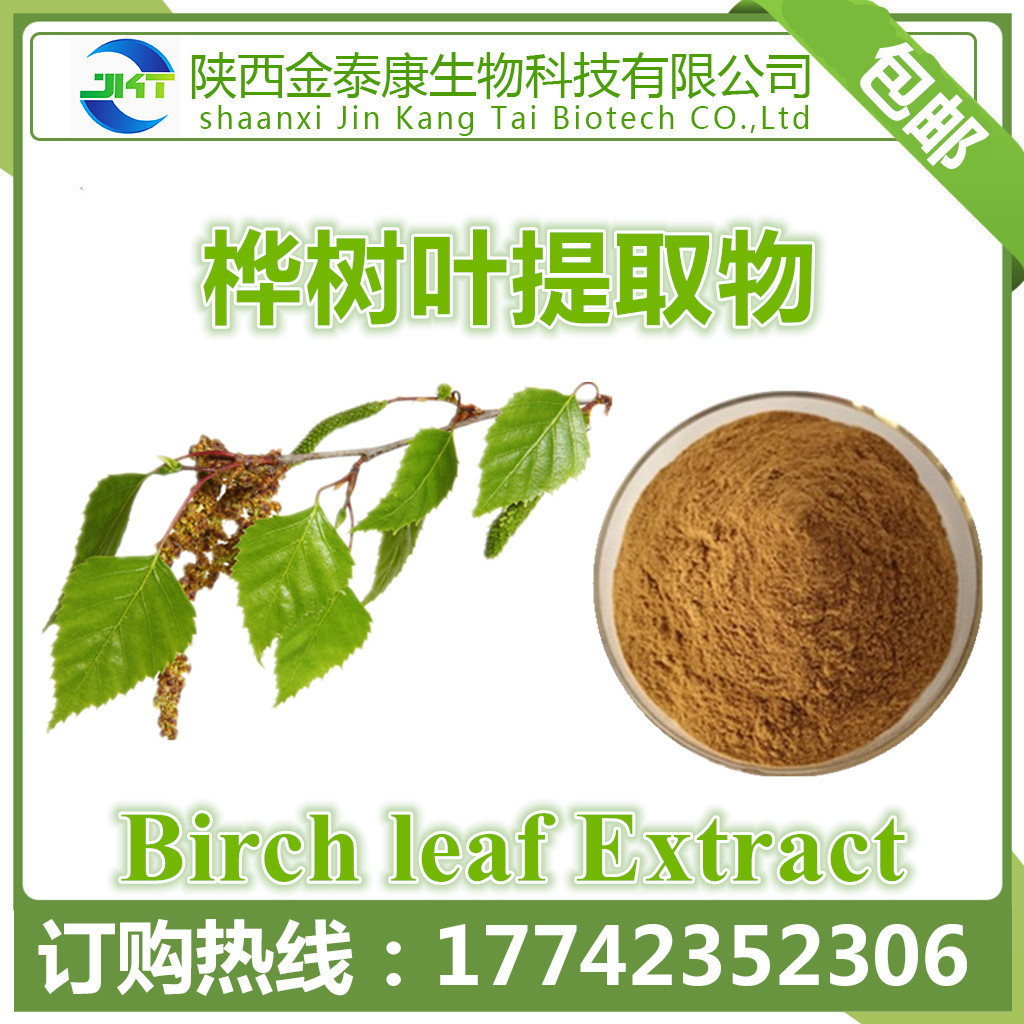 直销 白桦叶提取物10:1 另有桦树叶黄酮 现货包邮 陕西西安-食品商务网