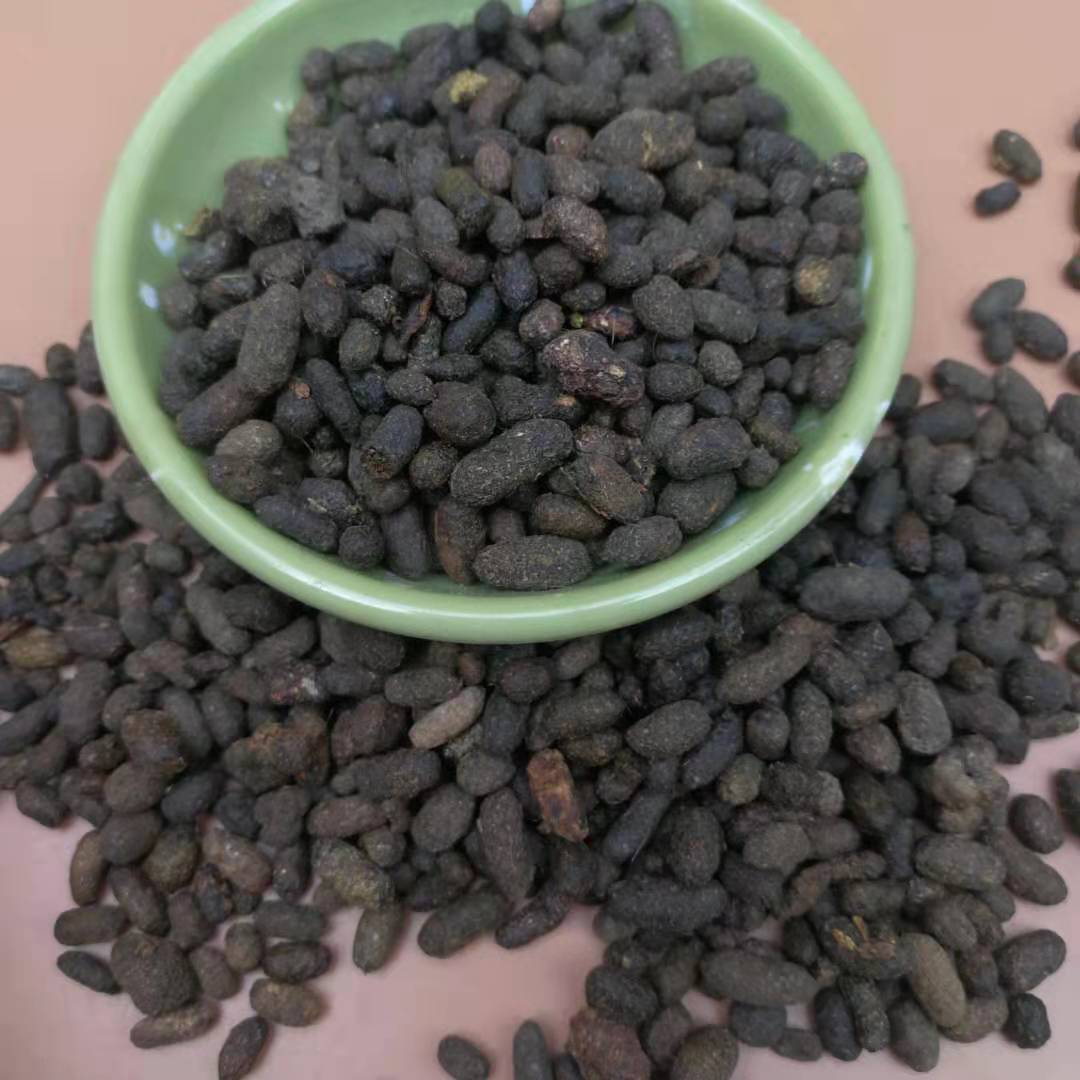 Wu Ling Zhi Trogopterus Dung Dried Bulk Herb 500g Traditional Chinese Medicine Material overview