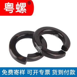 GB93�l��8�����|���ɉ|Ȧ���ɉ|Ƭ�_�ډ|Ȧ�l�ڏ��|��2-��56