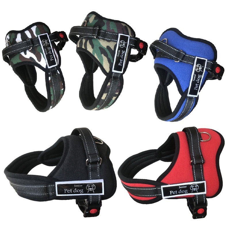 Reprehenderit qui in ea