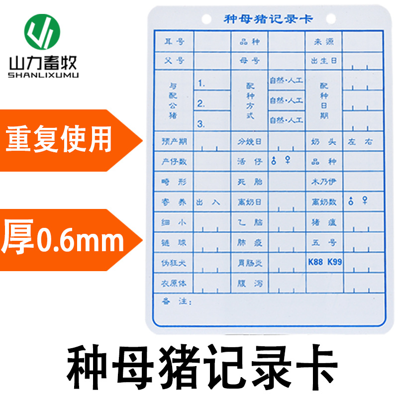 母猪记录卡 妊娠分娩种猪档案卡 双面 (尺寸:200×150×0.6毫米)