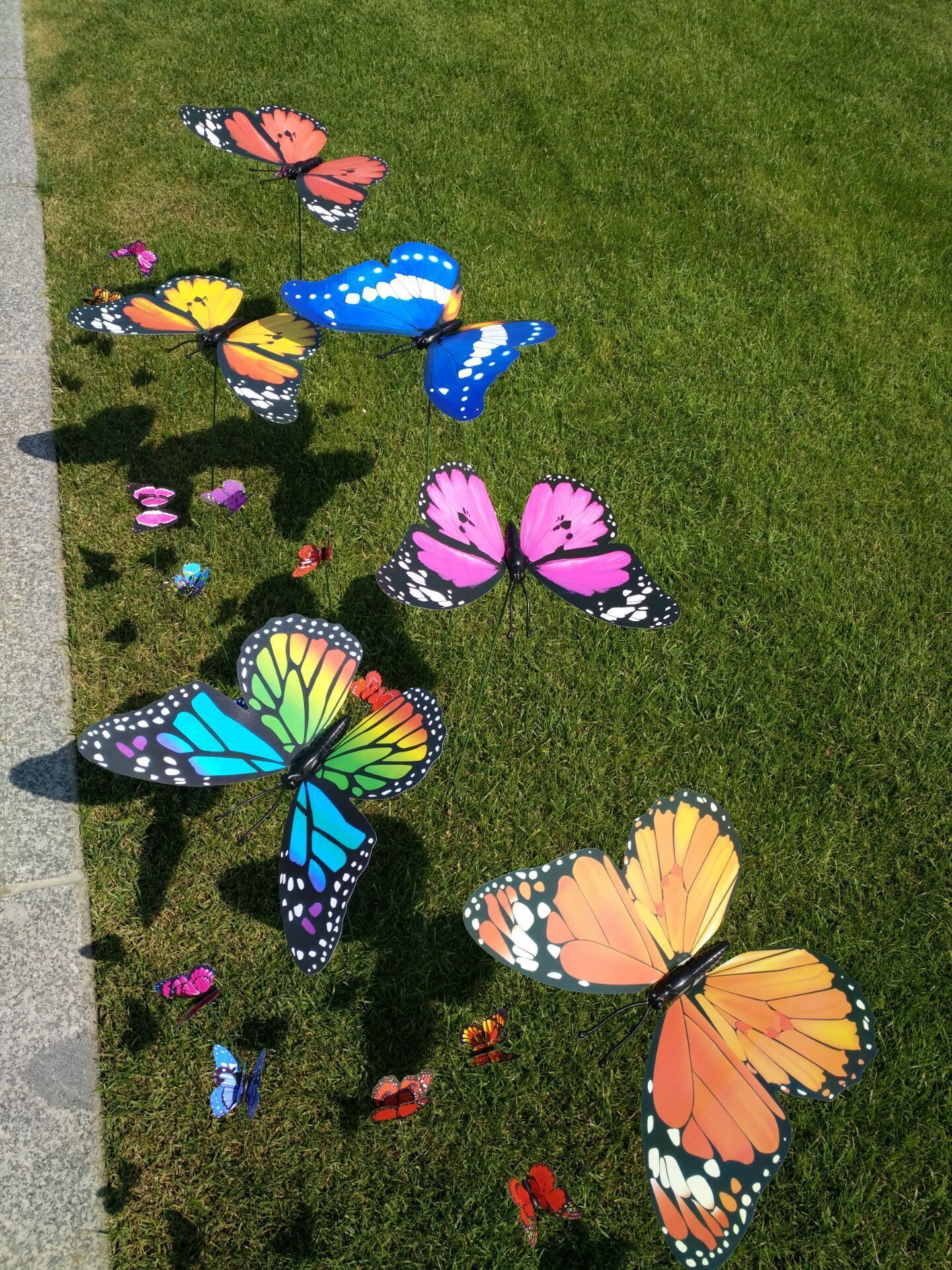 QQ图片20200506120458