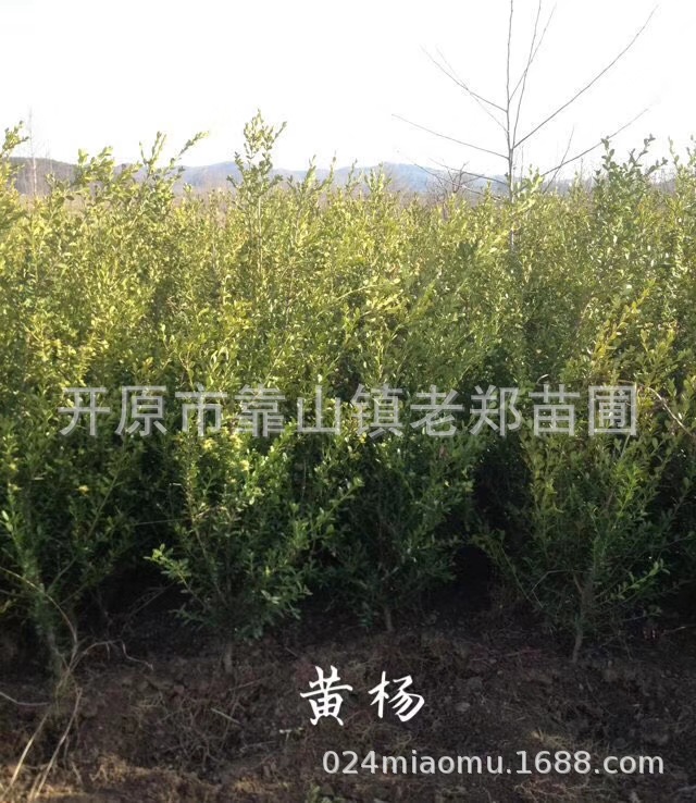 微信图片_202008122205577