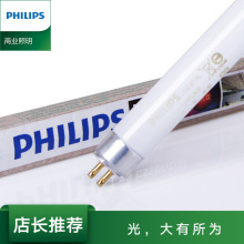 philips/wt5w 1.2ײ lT5ɫչ