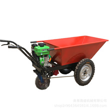 ͷ܇r BС܇ lͰ\܇ ɳʯ\܇