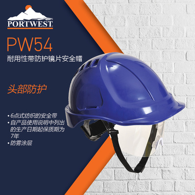 Portwest头部防护镜片防雾防刮痕涂层ABS外壳工地化工建筑安全帽|ru