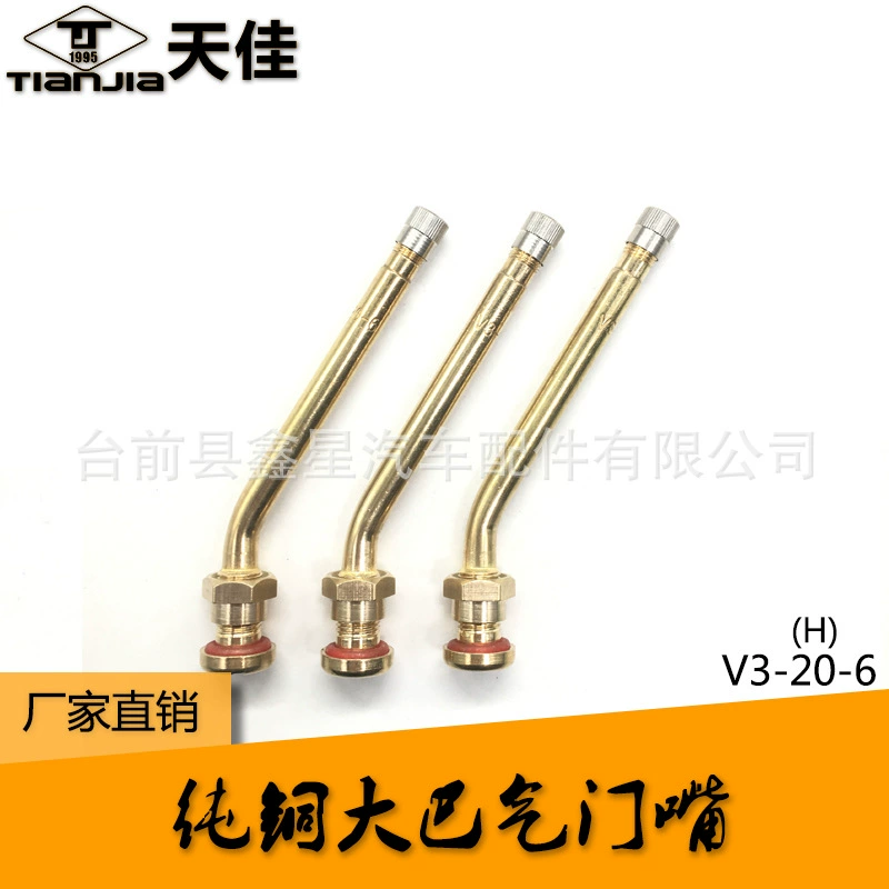 Чистая медь большой автомобильный клапан вакуумная насадка для шин воздушная насадка для большого автобуса V3-20-6