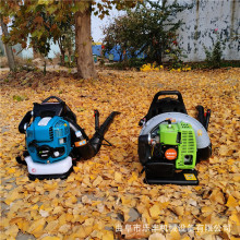 大棚顶积雪吹雪机  二四冲程路面缝隙吹灰机 背负式汽油吹风机