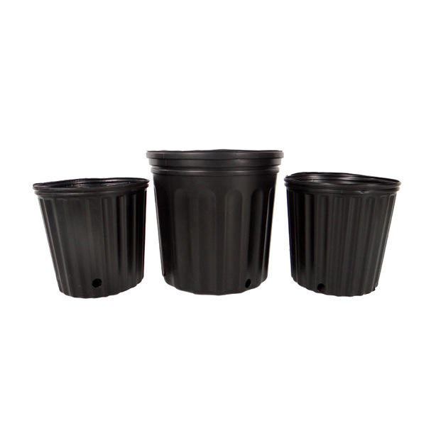 Supply balcony vegetable garden black thickened gallopian basin…