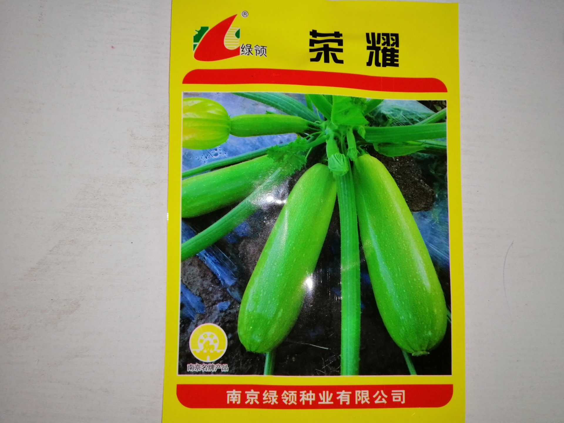 西葫芦种籽占瓜种子四季阳台盆栽青皮葫芦种孑站番瓜蔬菜种孑-阿里巴巴