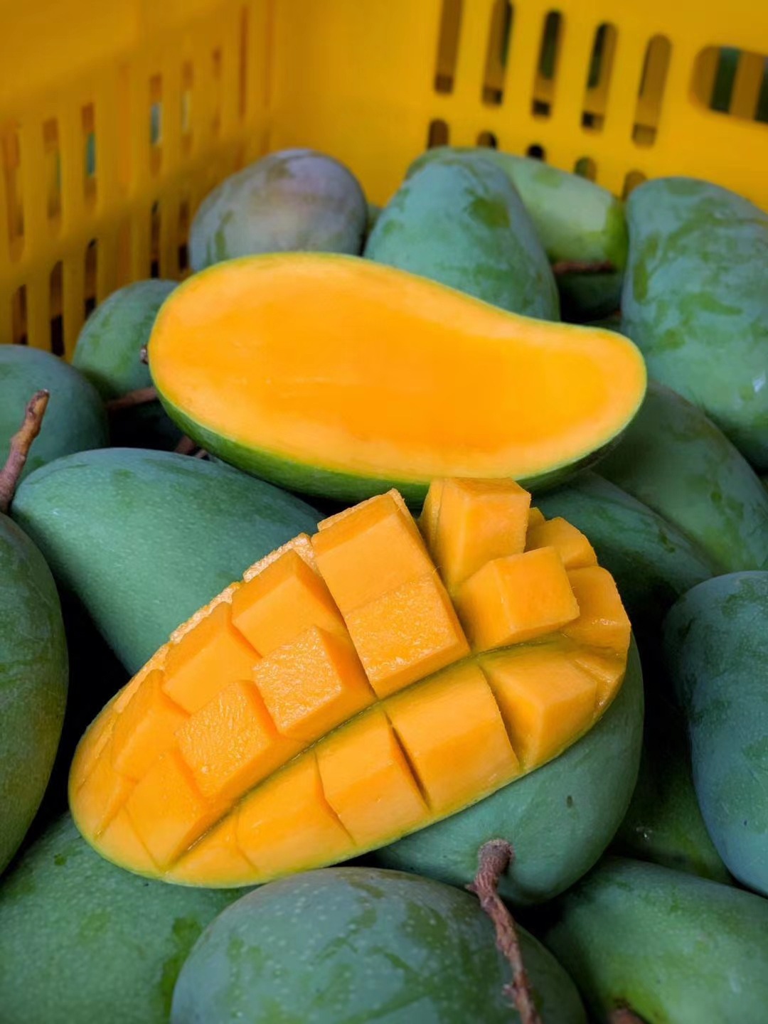 Guangxi Sweetheart Xiaoqingmang 5 /9 Pounds loaded Met,Don't Miss Make sweet,In