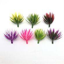 5CM����ɻ����� ����ֲ������z����ƺ��ֲ������辰ˮ�����