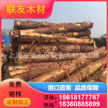 厂家供应桧木防腐木原木 黄桧原木材 加工各种规格方料