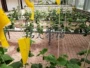 水培生产种植育苗岩棉