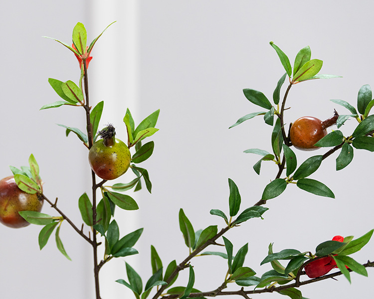 5头石榴带花 红绿色_03.jpg