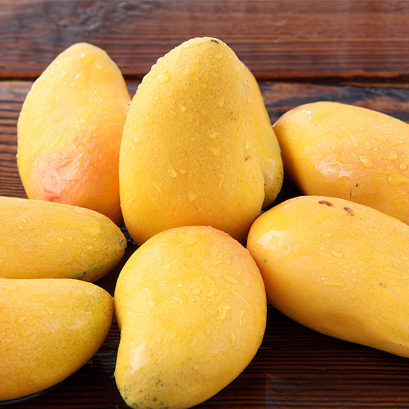 海南小台农芒果新鲜热带应季水果金黄小台芒农芒非贵妃芒大青芒