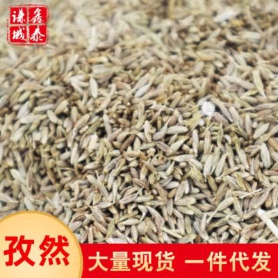 现货批发孜然散装称重浓香孜然粒烧烤撒料孜然粉量大从优产地直供|ms