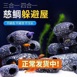 Shrimp House Cichlids Stone Short Sparus Pot Shaped Clay Pot Away Aquarium Stone View Egypt Three Lakes Fish Tank Aquarium