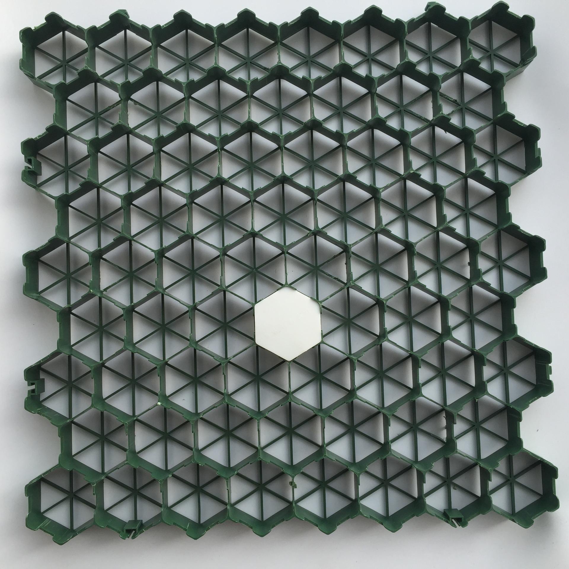 实力源头厂家批发HDPE塑料植草格 停车位园林绿化 植草格 48mm