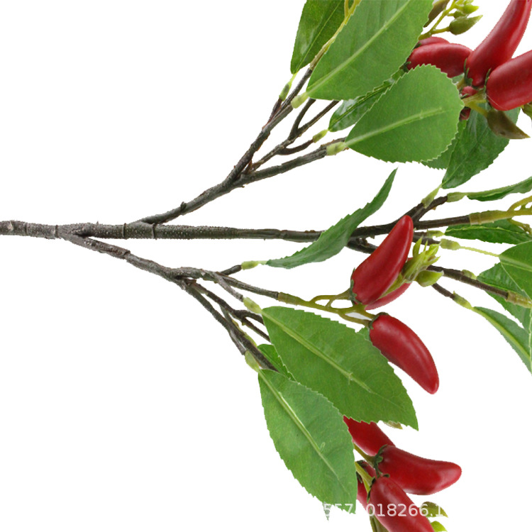XRG-015 小米辣3叉枝18叶53厘米.jpg