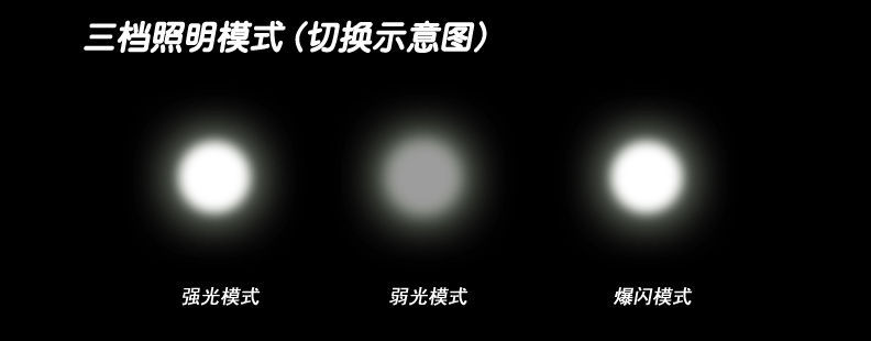 308636BD8F29A6319B84E4047E0F1A