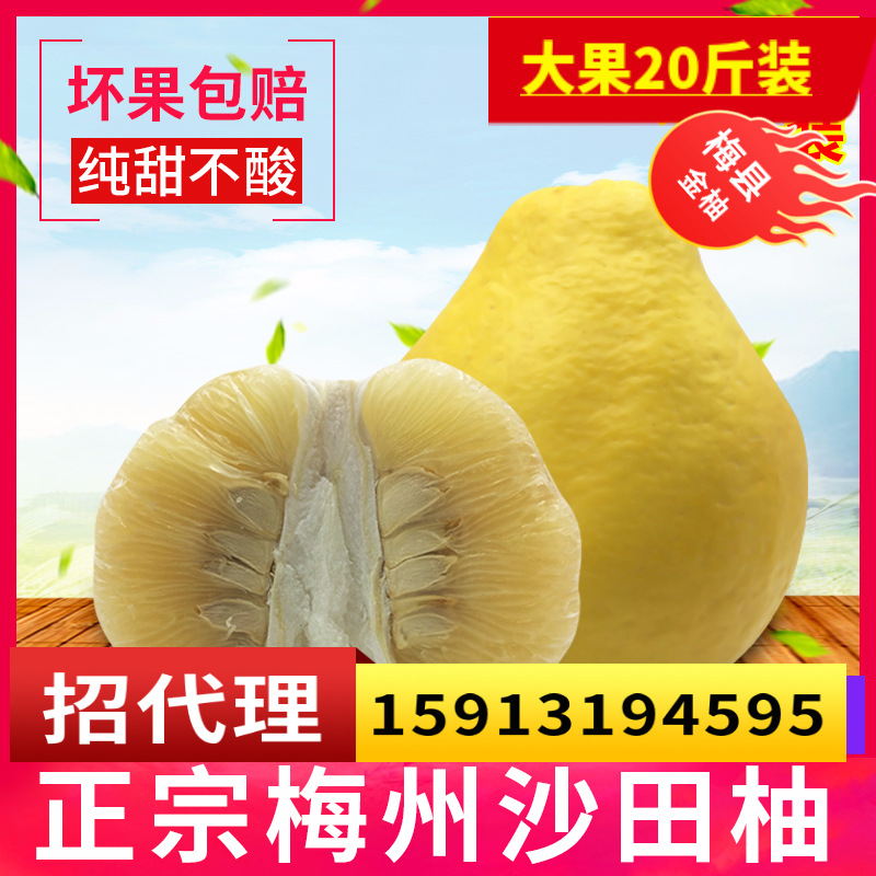 广东梅州正宗沙田柚 金柚新鲜水果白肉柚子20斤包邮 梅县沙甜柚子