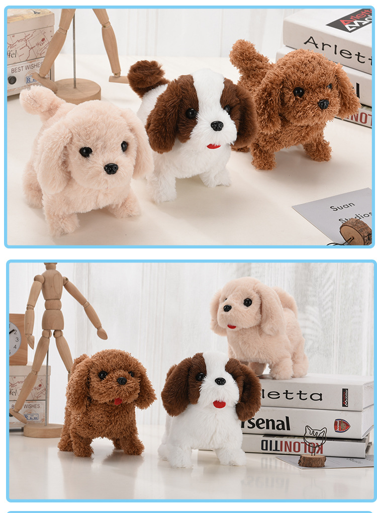 泰迪金毛哈士奇柯基小狗详情页_08