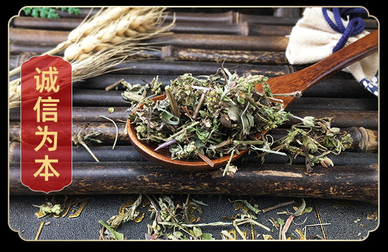 Dried Oregano Leaves 500g Bulk Pizza Herb for Western Culinary Seasoning in use