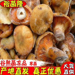 【裕菌隆】 寒菌 谷熟菌 九月菇 松乳菇 重阳菌 湘菜馆食材批发-阿里巴巴