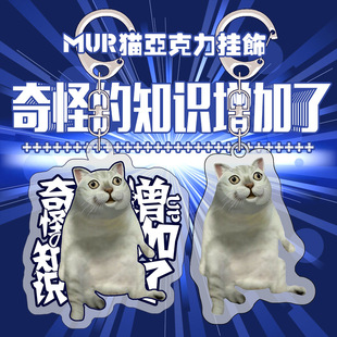 二次元mur猫奇怪的知识增加了创意表情包挂件沙雕恶搞手机钥匙扣-阿里巴巴