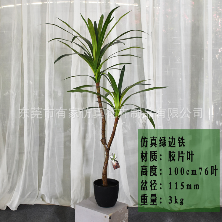 Decoración suave para árbol de hierro de sangre de dragón artificial Nórdico madera brasileña falsa decoración de maceta artificial planta tropical paisaje paisajismo