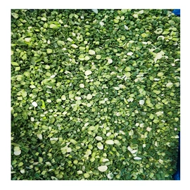 速冻果蔬类;冷冻蔬菜;块茎类