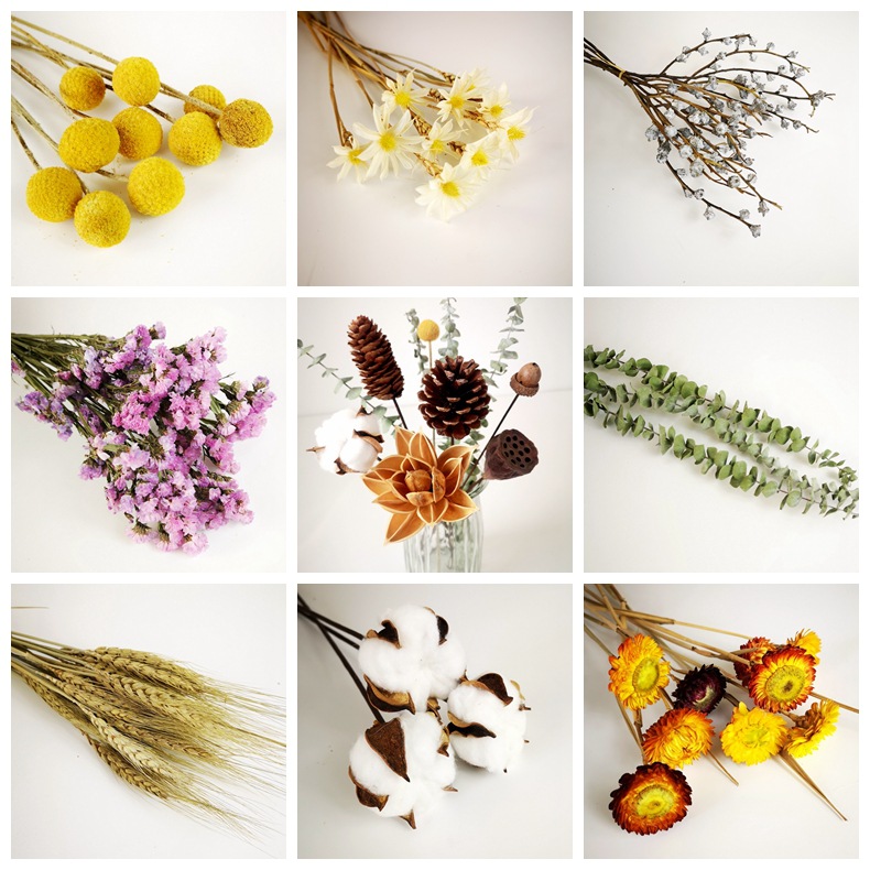 Dried Bouquet DIY Decoration Materials Decoration Gypsophila flower arrangement Cotton a living room Dried flowers wholesale Mix and match